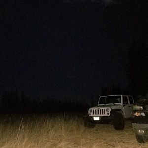 Meet your Posher, Phillip